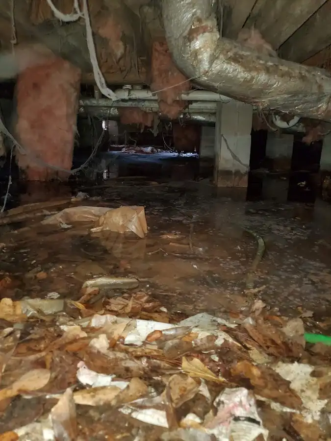 Crawl space flood assessment for Leak Detection & Repair in East Kapolei
